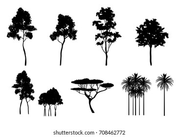 vector set of different trees silhouettes a nature illustration