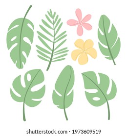 vector set with different tropical leaves and flowers on white background