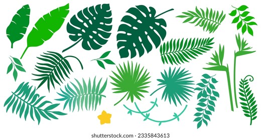 Vector set of different tropical plants, leaves and flower. Summer exotic elements for invitations, posters, backgrounds