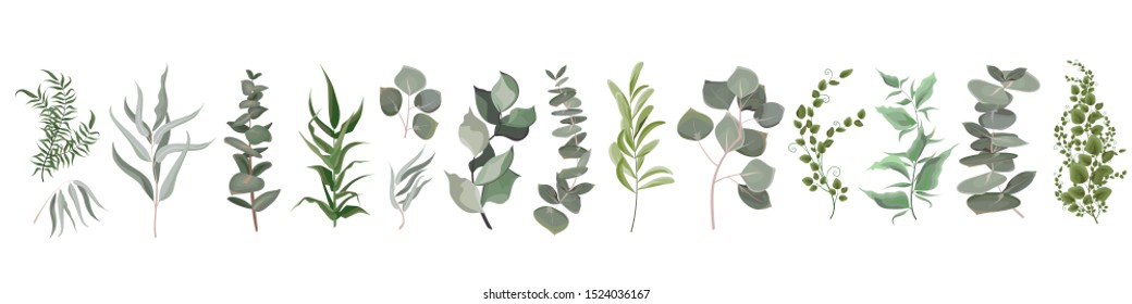 Vector set of different twigs, plants, leaves.