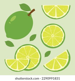 Vector set of different types of green lemon, Summer fruits for healthy lifestyle. Organic fruit. vector illustration