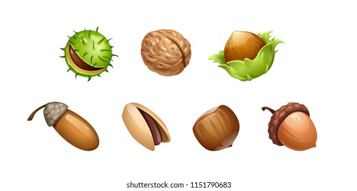 vector set of different types of nut fruits