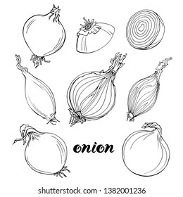 Vector set of different types of onion bulbs . Whole and cutted into pieces. Black and white line art.