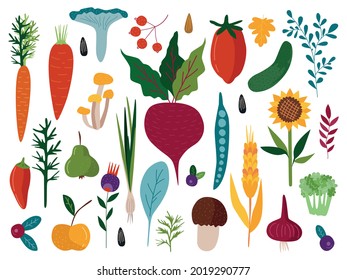 Vector set of different vegetables, fruits, mushrooms and berries. Twigs and leaves. Hand-drawn in a cartoon style