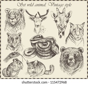 vector set: different wild animals - various vintage style.