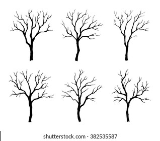 Vector set of different winter hand drawn trees.