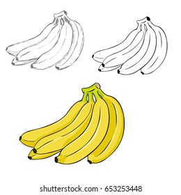 Vector Set of Differrent Illustration Style Bunches of Bananas. Process of Drawing