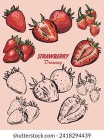 Vector set of digitaldrawing strawberry, vintage style drawing.	