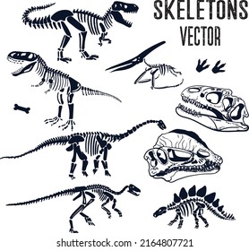 Vector Set Of Dinosaur Skeleton. Eps 10