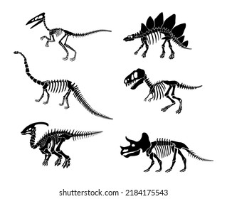 Vector set with dinosaur skeleton isolated on a white background.