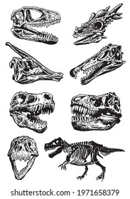 Vector set of dinosaur skeletons and skulls on white background,paleontological collection