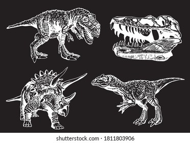 Vector set of dinosaurs, engraved illustrations, paleontology concept.