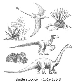 Vector set of dinosaurs illustrations. Graphic sketch with diplodocus, pterodactyl, velociraptor and palm trees.