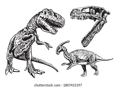 Vector set of dinosaurs isolated on white , elements for printing,graphical illustration