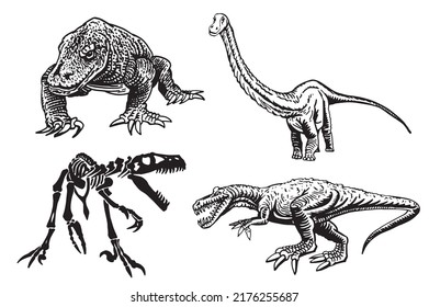 Vector set of dinosaurs and varans , graphical elements isolated on white