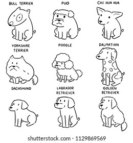 vector set of dog