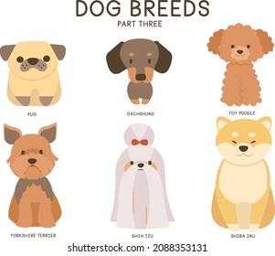 A vector set of Dog Breeds (part three): Pug, Dachshund, Toy Poodle, Yorkshire Terrier, Shih Tzu, Shiba Inu.