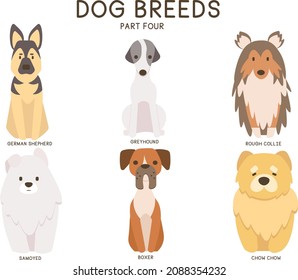 A vector set of Dog Breeds (part four): German Shepherd, Greyhound, Rough Collie, Samoyed, Boxer, Chow Chow.