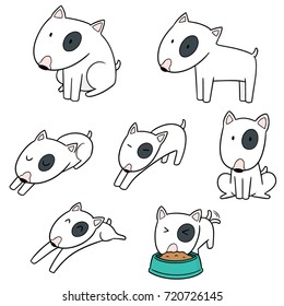 vector set of dog, bull terrier