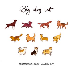 Vector set of dog in cartoon style, isolated on white background.