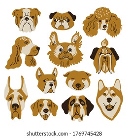 Vector set of dog faces. Colorful illustrations of dog portraits