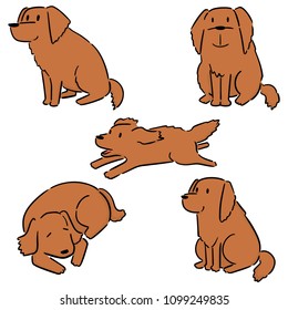 vector set of dog, golden retriever