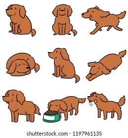 vector set of dog, golden retriever