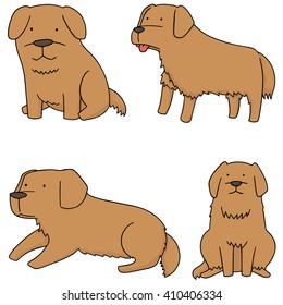 vector set of dog, golden retriever