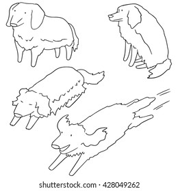 vector set of dog, golden retriever