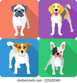 Vector set dog icon flat design - Jack Russell Terrier, French Bulldog, Pug and Beagle breed