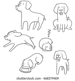 vector set of dog, labrador retriever