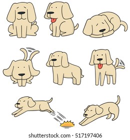 vector set of dog, labrador retriever
