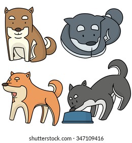 vector set of dog, shiba inu