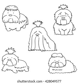 vector set of dog, shih tzu