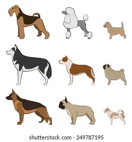 Dogs Breed Set Isolated On White Stock Vector (Royalty Free) 467137910