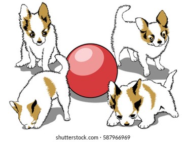 Vector set of dogs in different poses