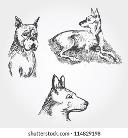 Vector Set dogs hand drawn