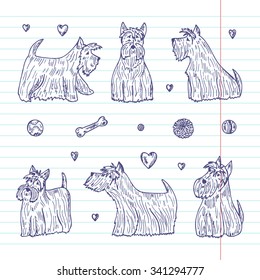Vector Set of Dogs. Hand Drawn Doodles Scottish Terriers. 