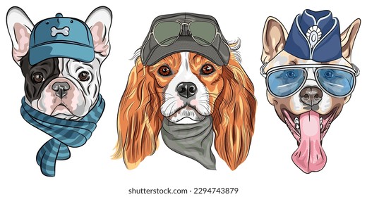Vector set of dogs in hat, Cavalier King Charles Spaniel, French Bulldog and American Akita breed