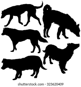Vector Set of Dogs Silhouettes