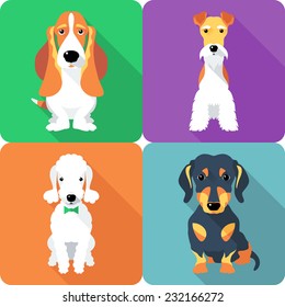 Vector set dogs sitting icon flat design (Fox Terrier, Bedlington Terrier, Basset Hound, Dachshund)