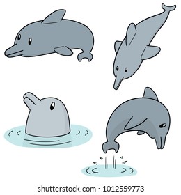 vector set of dolphin