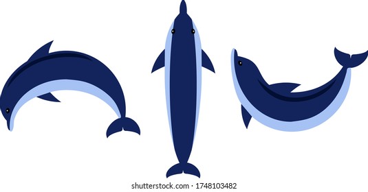 Vector set of dolphins color