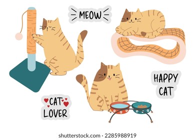Vector set with a domestic cat. A cat sharpening its claws, lying on a scratching post and sitting near bowls. Accessories for the pet. Inscriptions meow, cat lover, happy cat.