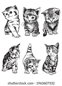 Conjunto vectorial de gatos domésticos sobre blancos aislados , mascotas con estilo gráfico