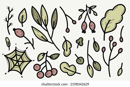 Vector set of doodle autumn botany floral elements. Herbs, berries, leaves.