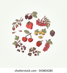 Vector Set of doodle berries: strawberry, blueberries, black currant, raspberries, blackberries, red currants, gooseberries, cherries, rowan, mulberry