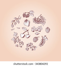 Vector Set of doodle berries: strawberry, blueberries, black currant, raspberries, blackberries, red currants, gooseberries, cherries, rowan, mulberry