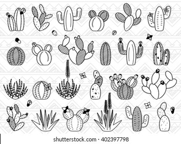 Vector Set of Doodle Cactus and Succulent Plants