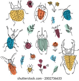 Vector set of doodle colored beetles and plants